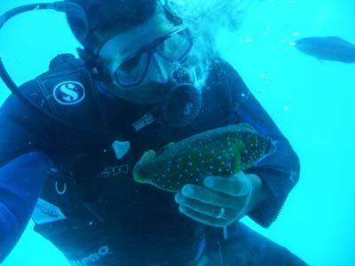 Tauchen Hurghada Ägypten Tauchen Hurghada